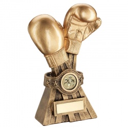 Golden Glove Boxing Award